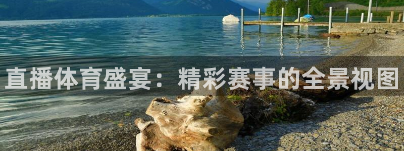 jrkan直播网：直播体育盛宴：精彩赛事的全景视图