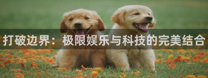 jrkan直播网址：打破边界：极限娱乐与科技的完美结合