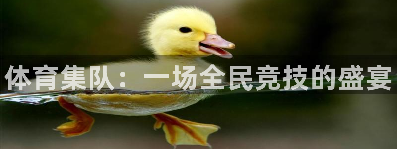 jrkan直播2023：体育集队：一场全民竞技的盛宴