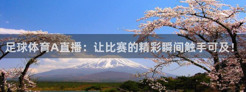 jrkan直播看球：足球体育A直播：让比赛的精彩瞬间触手可及！