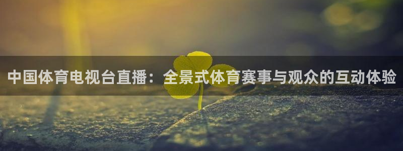 jrkan直播nba直播：中国体育电视台直播：全景式体育赛事与观众的互动体验