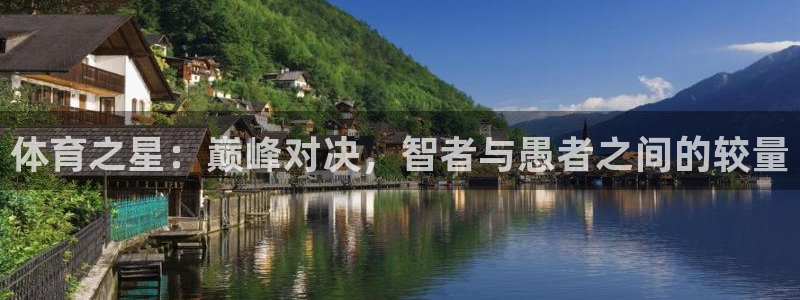 jrkan直播nba免费：体育之星：巅峰对决，智者与愚者之间的较量